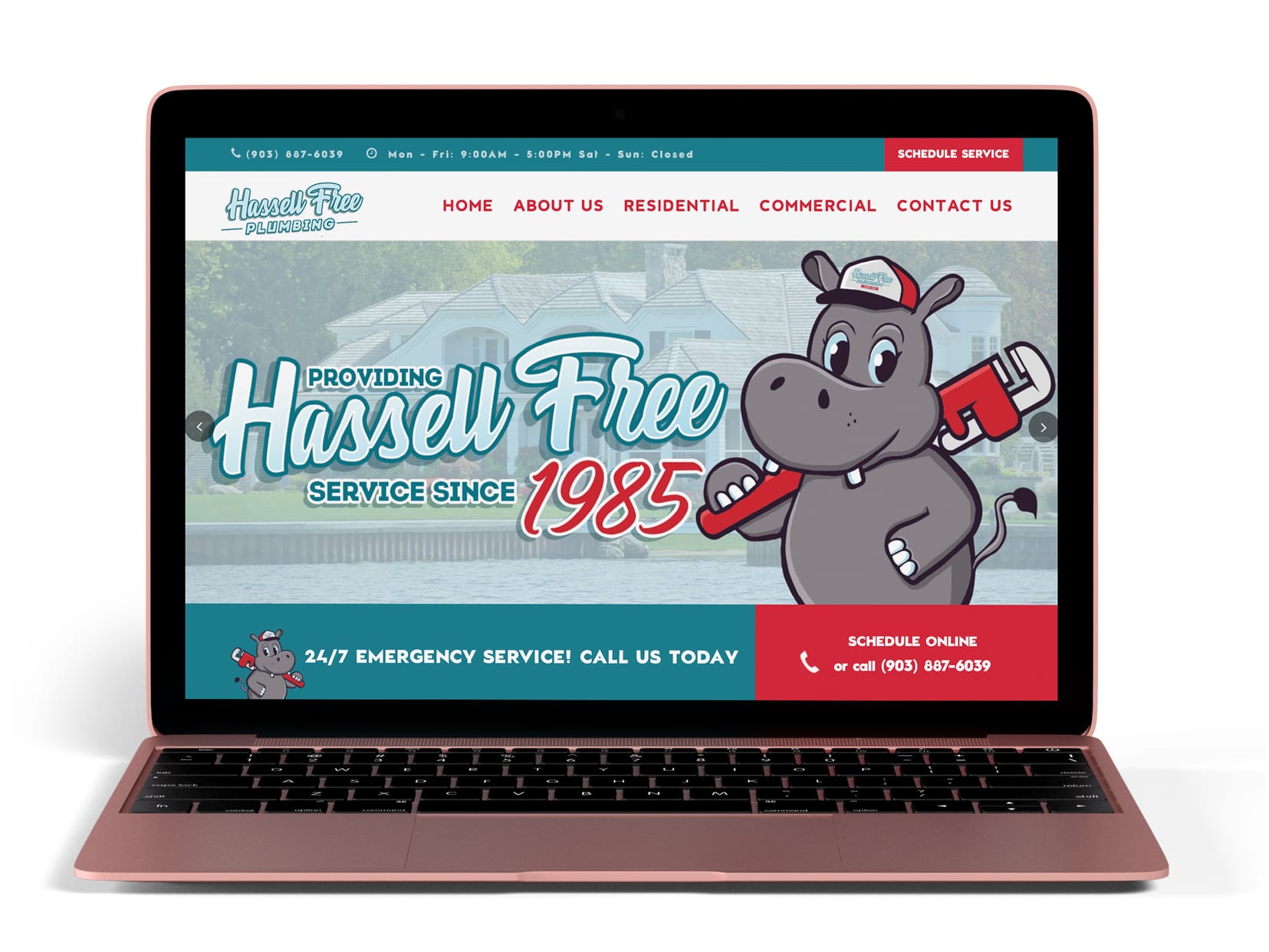 Hassell Free Plumbing Website