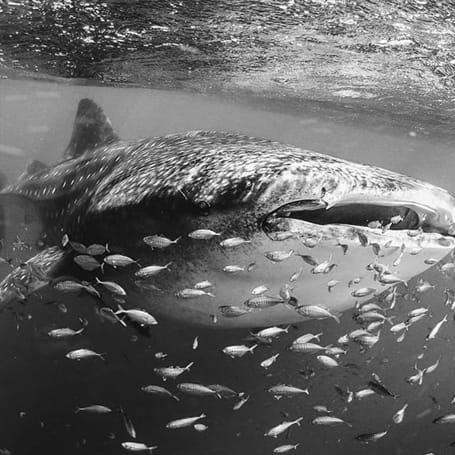 On Isla Mujeres